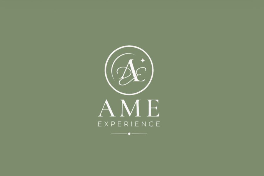 AME EXPERIENCE